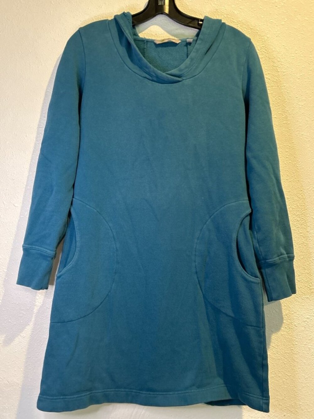 HORNY TOAD (SMALL) Blue Pullover Long Hoodie Dress